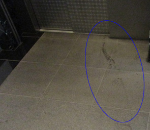 エレベーター前の汚れ
